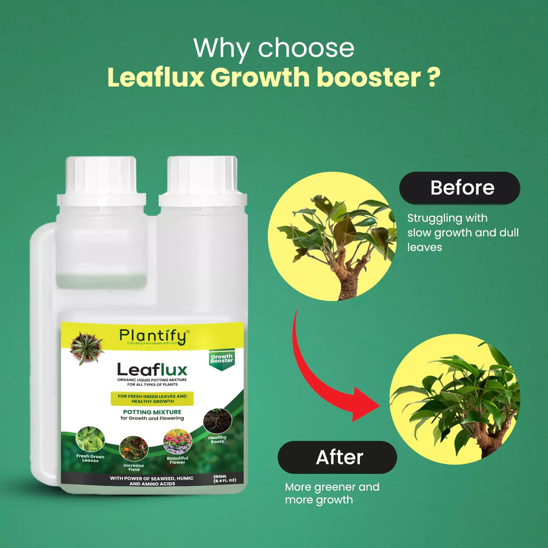 Plantify Leaflux- Organic Plant Growth Booster for Healthy Roots & Yields