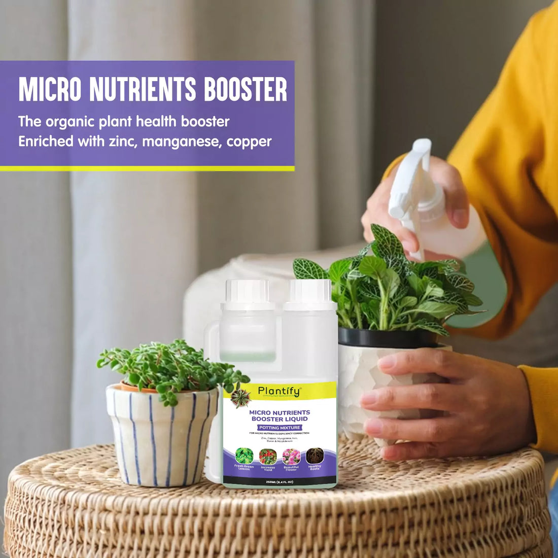 Plantify Micro Nutrients Booster Liquid for Healthy Roots & Leaves